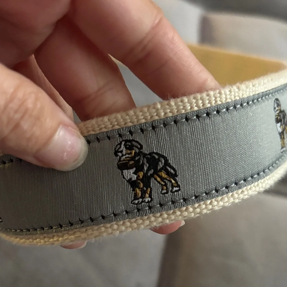 Crew Cuts- Novelty Dog belt kids large.